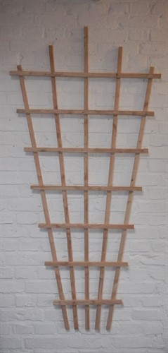 Spaljé Lärk, solfj 80 x177 cm